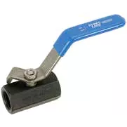 1/4″ BALL VALVE 2000PSI