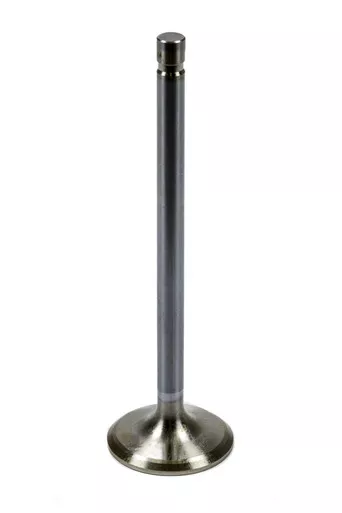 1.625 Exhaust Valve - 5.540 OAL 11/32 BR 60154