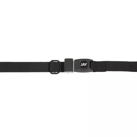 2-Point Positioning Belt with Push Button - 1" Web
