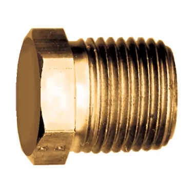 3/4"BRASSHEX HEAD PLUG