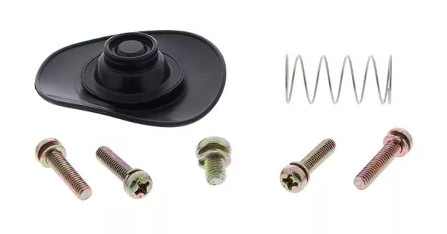 All Balls Racing Diaphragm Repair Kit 60-1300