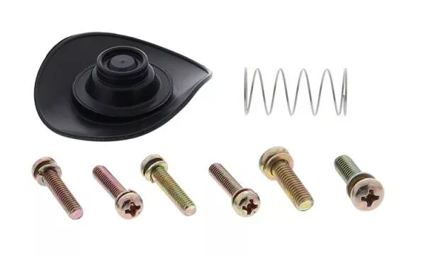 All Balls Racing Diaphragm Repair Kit 60-1303