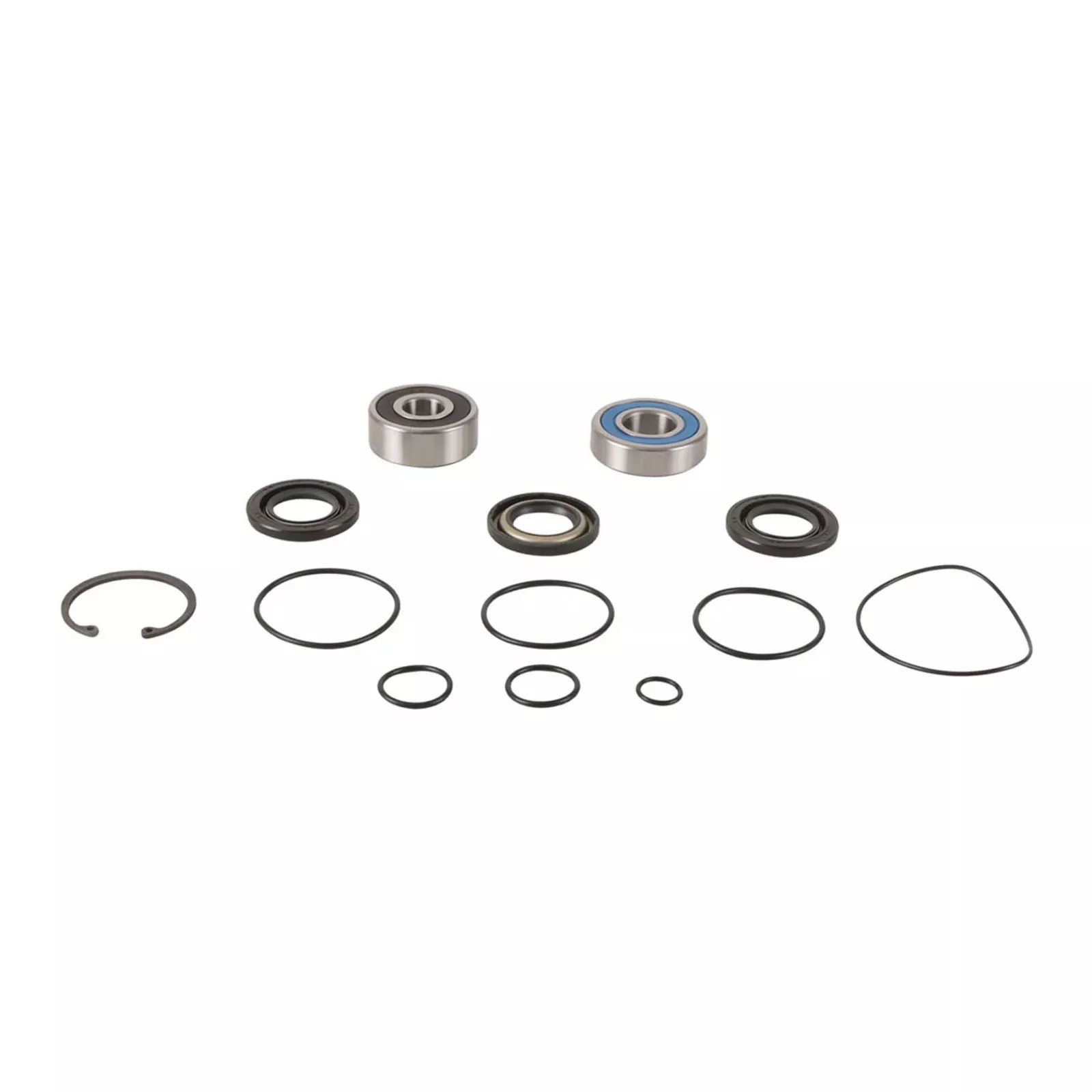 All Balls Racing Jet Pump Rebuild Kit (14-3015)