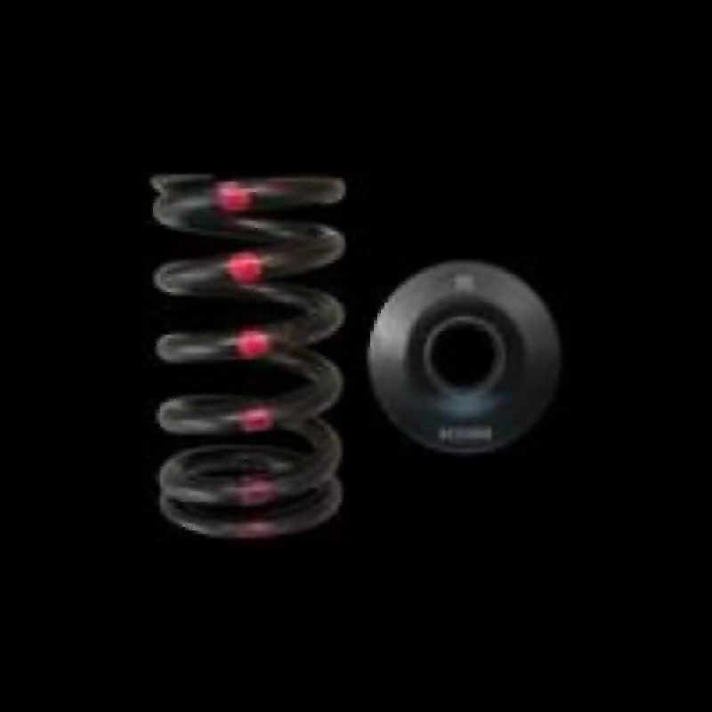 BC Spring & Retainer Kits