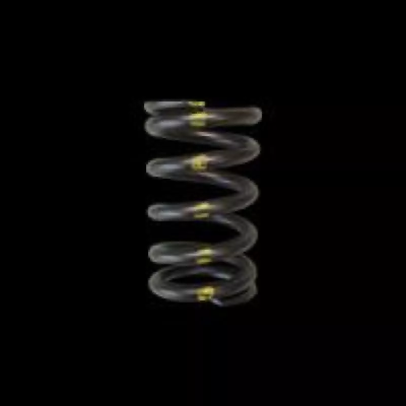 BC Valve Springs