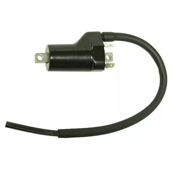 Bronco ATV Ignition Coil (AT-01678)