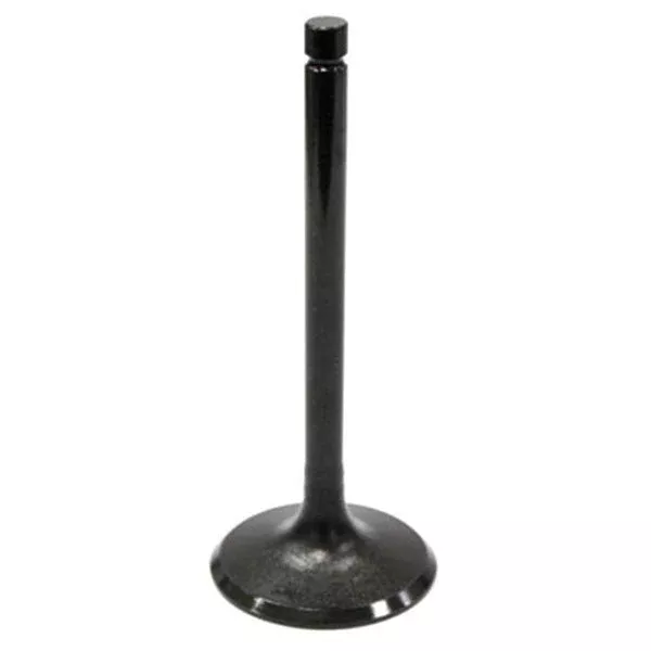 Bronco ATV/UTV Intake Valve (AU-09024I)