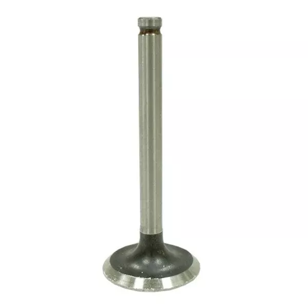 Bronco ATV/UTV Valve Exhaust (AU-09207E)
