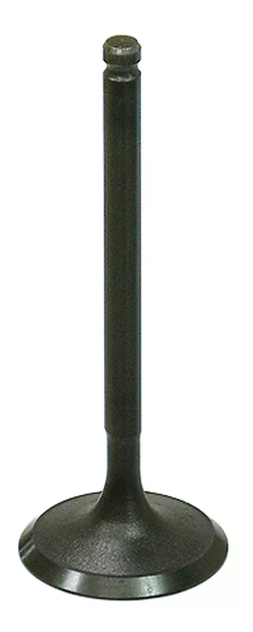 Bronco AU-09213I Engine Intake Valve