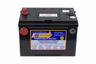 Cadillac DTS Battery (2007-2006, V8 4.6L)
