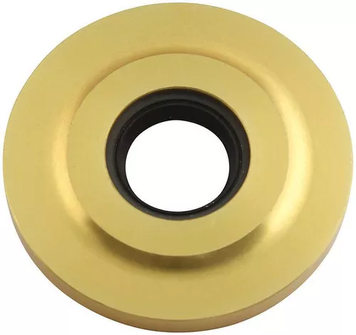 Cam Seal Plate Gold 2.253 ALL90086