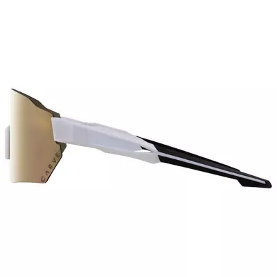 Carve Level Up Sunglasses