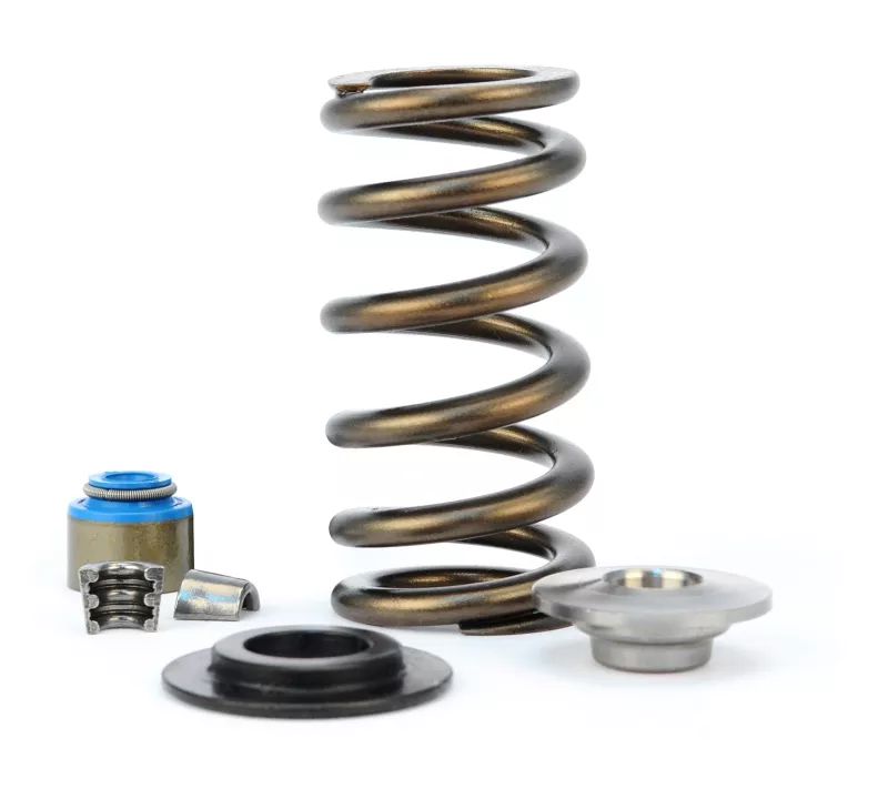 CCA Valve Springs