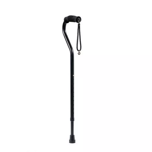 Classic Cane in Black