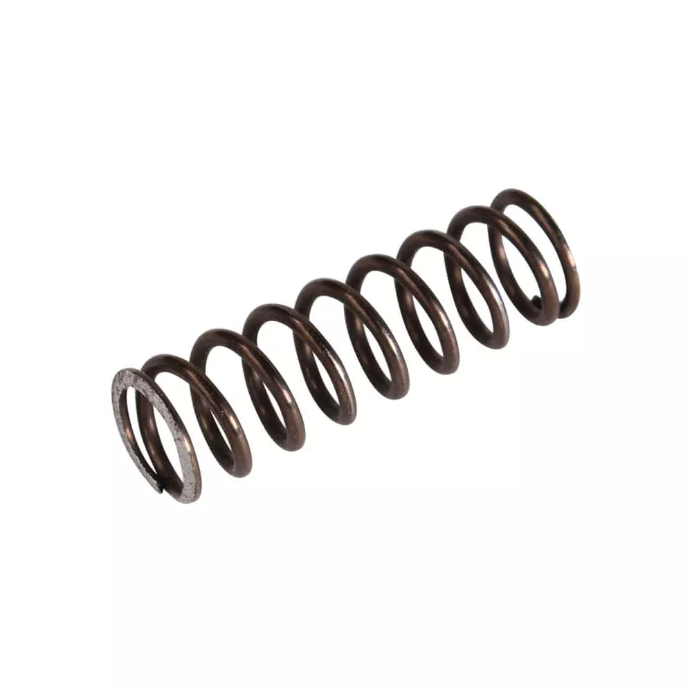 Clutch Spring ( Cosa )