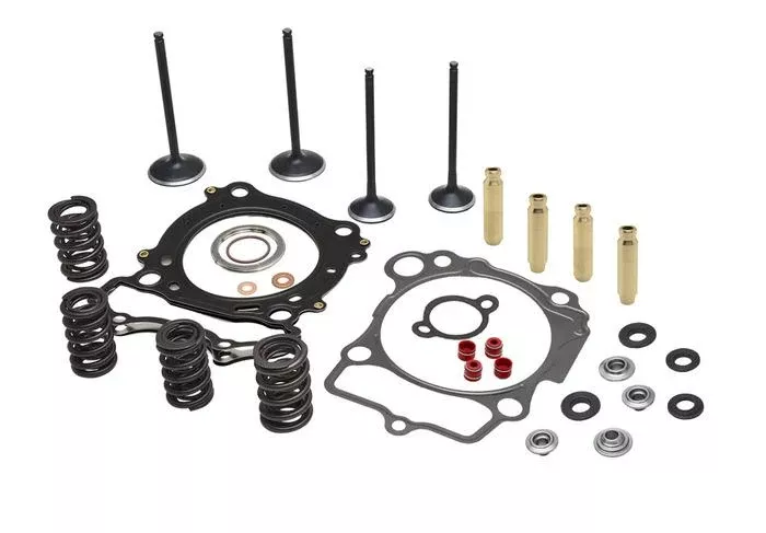 CYLINDER HEAD SERVICE KIT, KIBBLEWHITE 40-41470, SPRINGS VALVES HEAD GASKETS