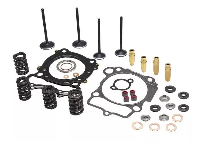 CYLINDER HEAD SERVICE KIT, KIBBLEWHITE 96-96560, SPRINGS VALVES HEAD GASKETS