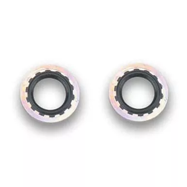 Earls Stat-O-Seals 7/8in -10AN 2pk 178014ERL