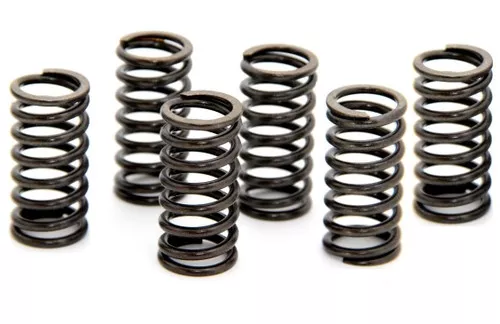 EBC CSK Clutch Spring Set (CSK29)