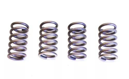 EBC CSK Clutch Spring Set (CSK4)