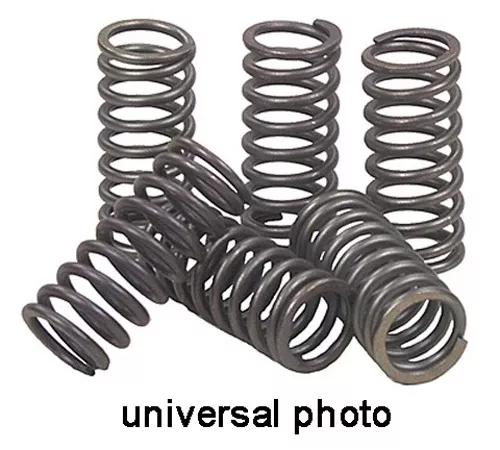 EBC CSK167 Clutch Spring Kit
