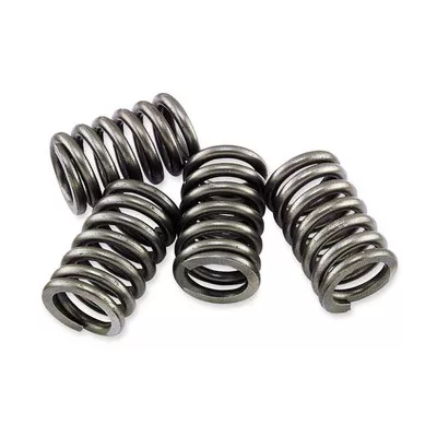 EBC Kawasaki ZX-10R 05-19 CSK Clutch Spring Kit
