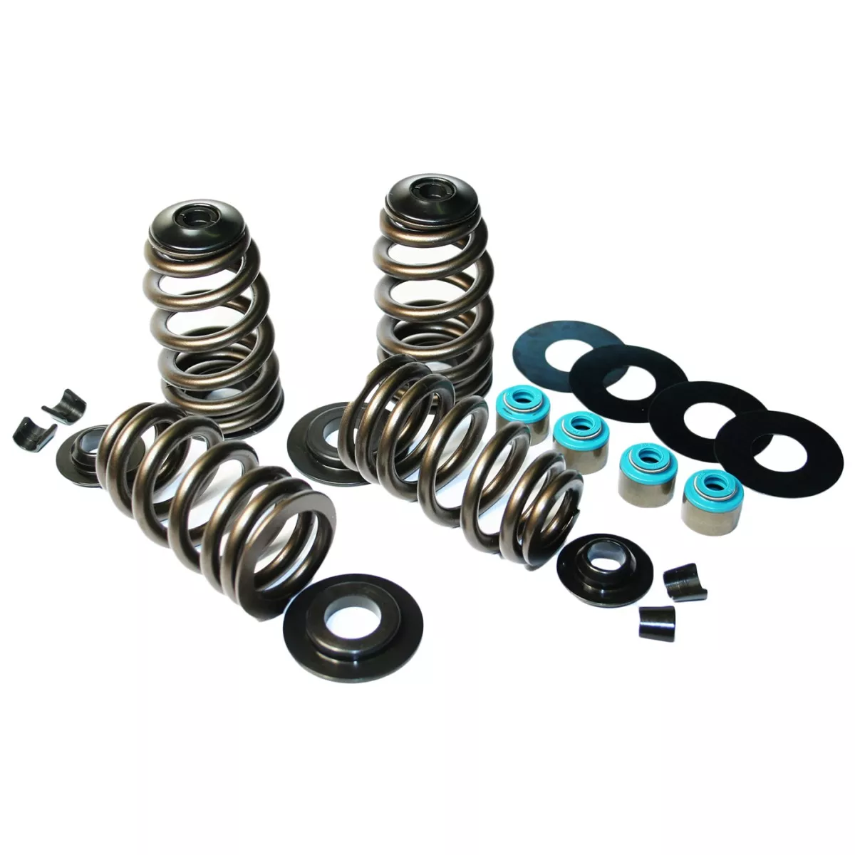ECONO BEEHIVE SPRING KIT