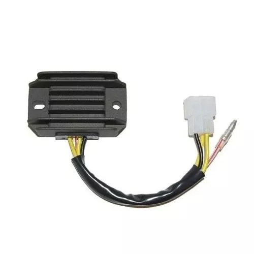 ElectroSport 1-Phase Regulator/Rectifier