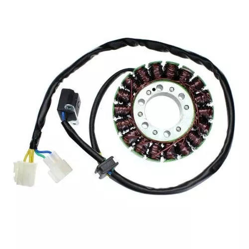 ElectroSport ESG112 OEM Replacement Stator for 2006-13 Hyosung GT650