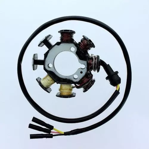 ElectroSport ESG212 OEM Replacement Stator For 1994-02 Honda XR200R