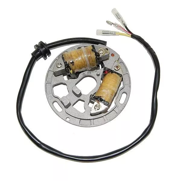 ElectroSport ESL225 Lighting Stator for Kawasaki KDX200/ KDX220R