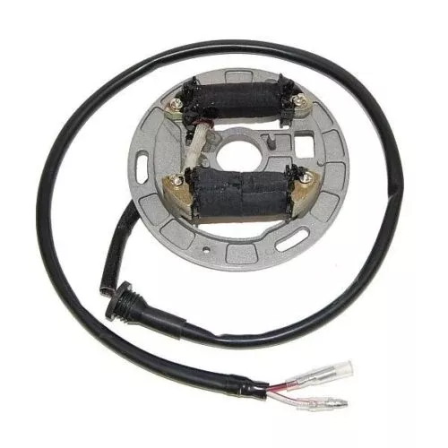 ElectroSport ESL312 Lighting Stator for 1987-06 Suzuki LT80 Quadsport