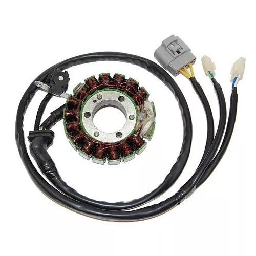 Electrosport High Power Stator