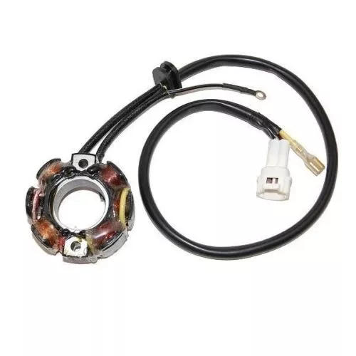 ElectroSport Lighting Stator