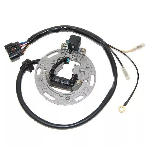 ElectroSport Replacement Stator for 2001-05 Kawasaki KX85/ KX100 - ESC1366