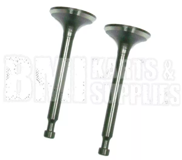 Exhaust & Intake Valve Set For 6.5 HP Clone | Honda GX160 or GX200 Engine