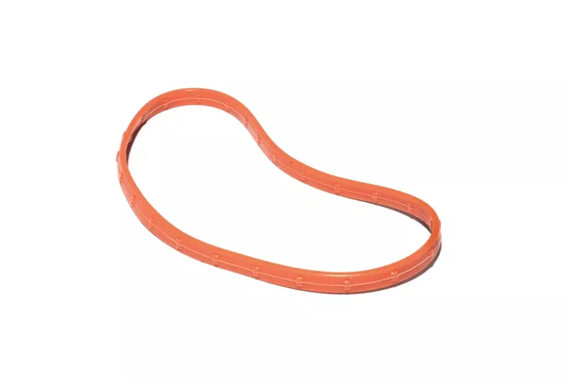 FAST O-Ring Seal For 102MM Throttle