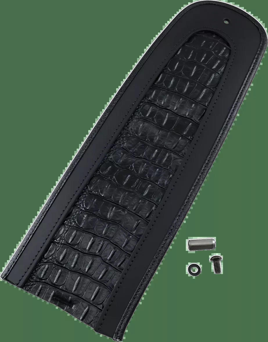 Fender Skin 15″ (4)
