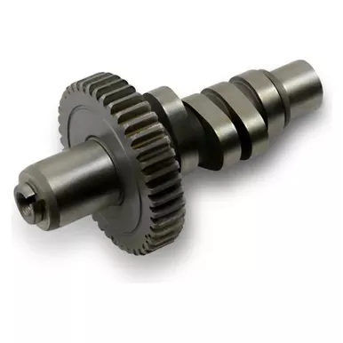 Feuling Camshafts for Evolution