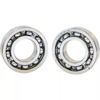 Feuling Outer Cam Plate Bearings