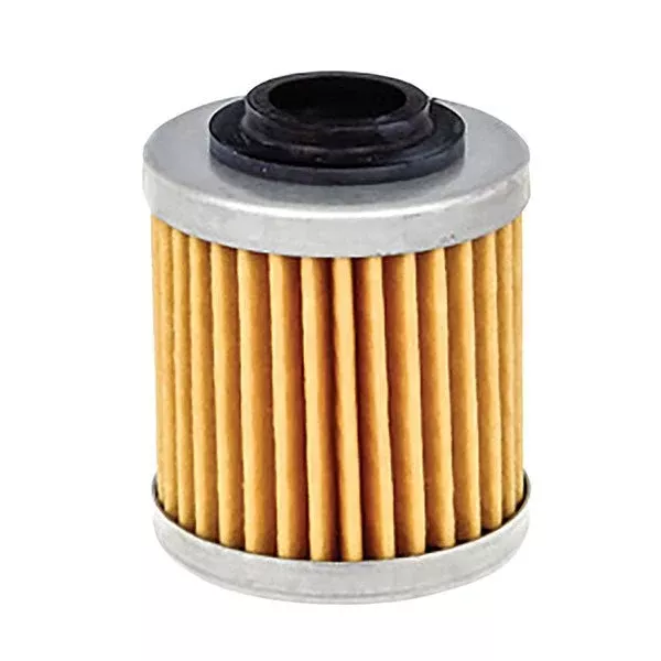 FRAM Filters Fram Oil Filter (CH6105)
