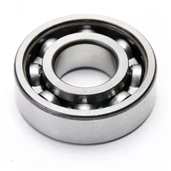 Front Axle Bearing (Fork Side, Most); Vintage