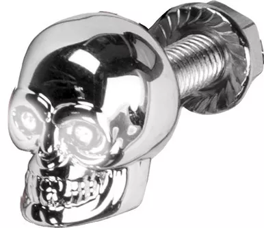 Harddrive Lighted Skull Lic Plate Screw White - H040081