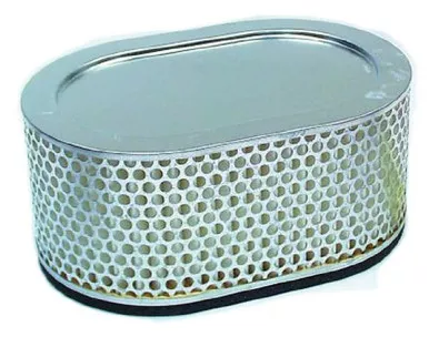 Hiflofiltro HFA3705 Premium OE Replacement Air Filter , black