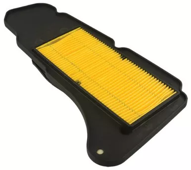 Hiflofiltro HFA4404 Premium OE Replacement Air Filter, Black