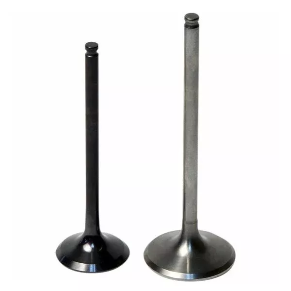 Hot Cams Intake Valve Steel & Titanium