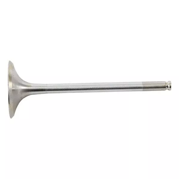 Hot Cams Steel Intake Valve (8400038-2)