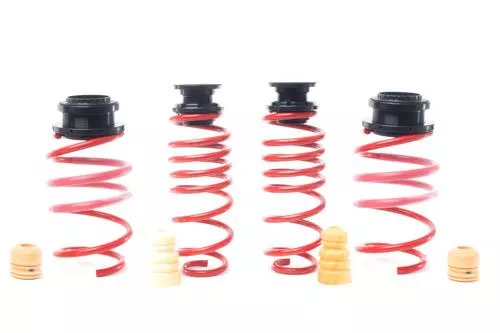 HR VTF Adj Lowering Springs