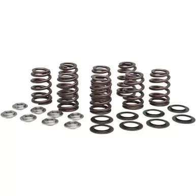 Kibblewhite High Performance Ovate Wire Beehive Valve Spring Kit M8
