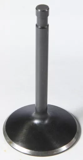 Kpmi Black Diamond Intake Valve - 20-4196-1